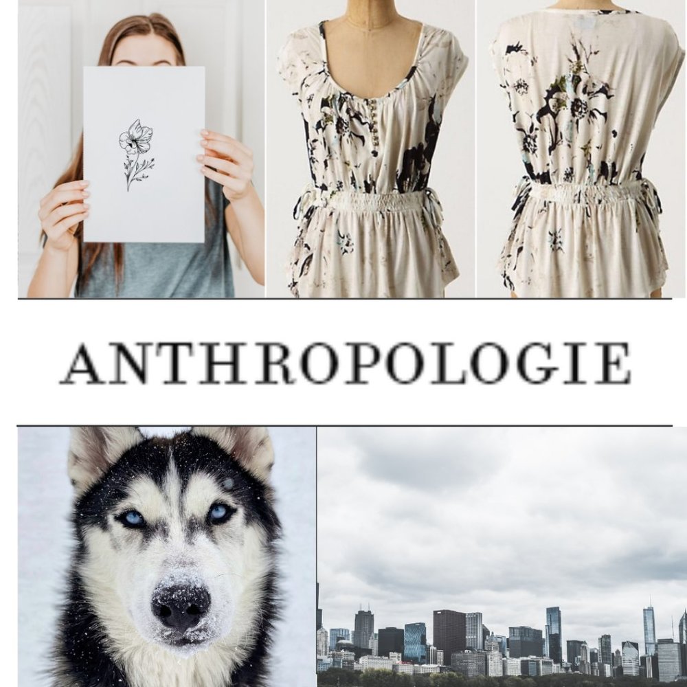 Anthropologie Deletta Rosa Rugosa Cream Knit Top